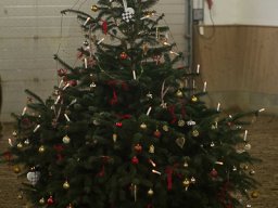 img_3890_web